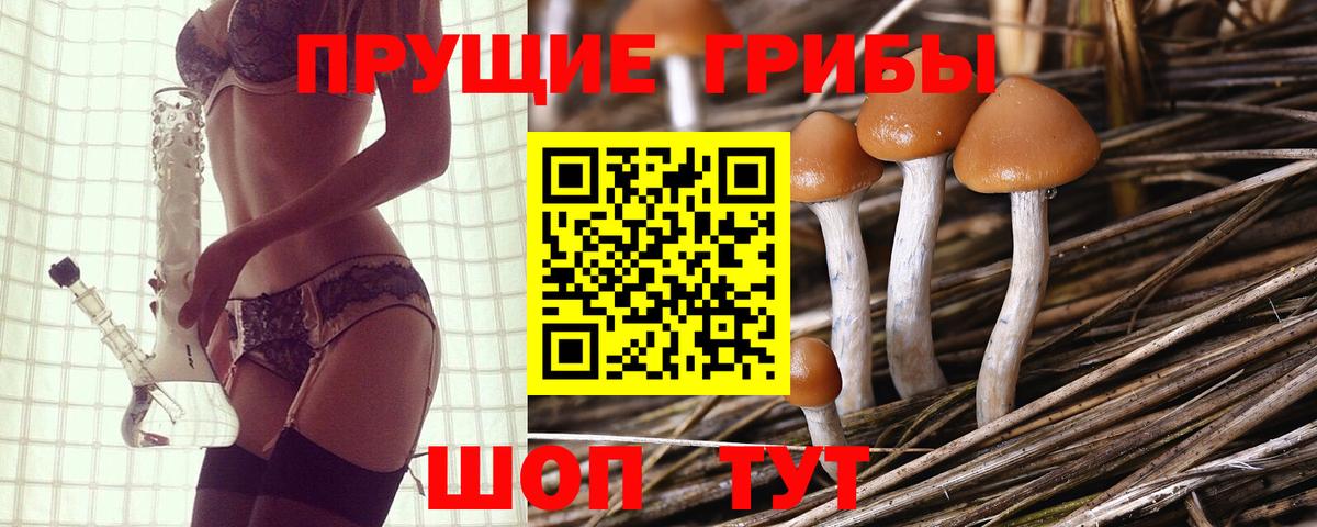 Галлюциногенные грибы мухоморы  дарнет шоп  Псилоцибиновые грибы MAGIC MUSHROOMS  Богданович  Вход с VPN 